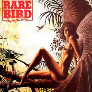 rare-bird-sympathy