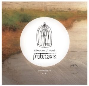 phototaxis-cover-b.jpg