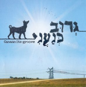 groove-front-b.jpg