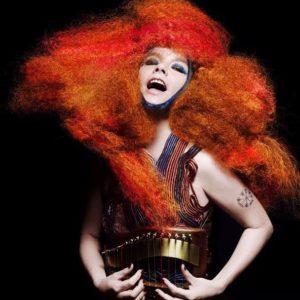 bjork002-b.jpg