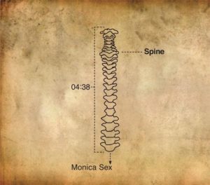 monika-spine-b.jpg