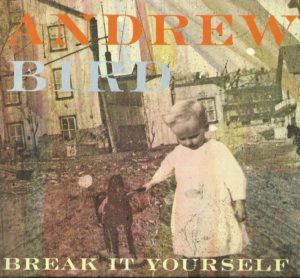 andrew-bird-break-b.jpg