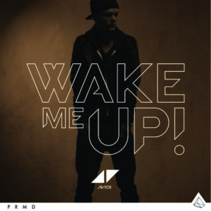 avicii-wake-b.jpg