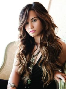 demi2013-b.jpg