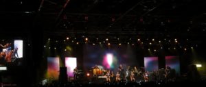 pitbull4255-b.jpg