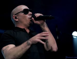 pitbull4627-b.jpg