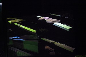 IMG_7854