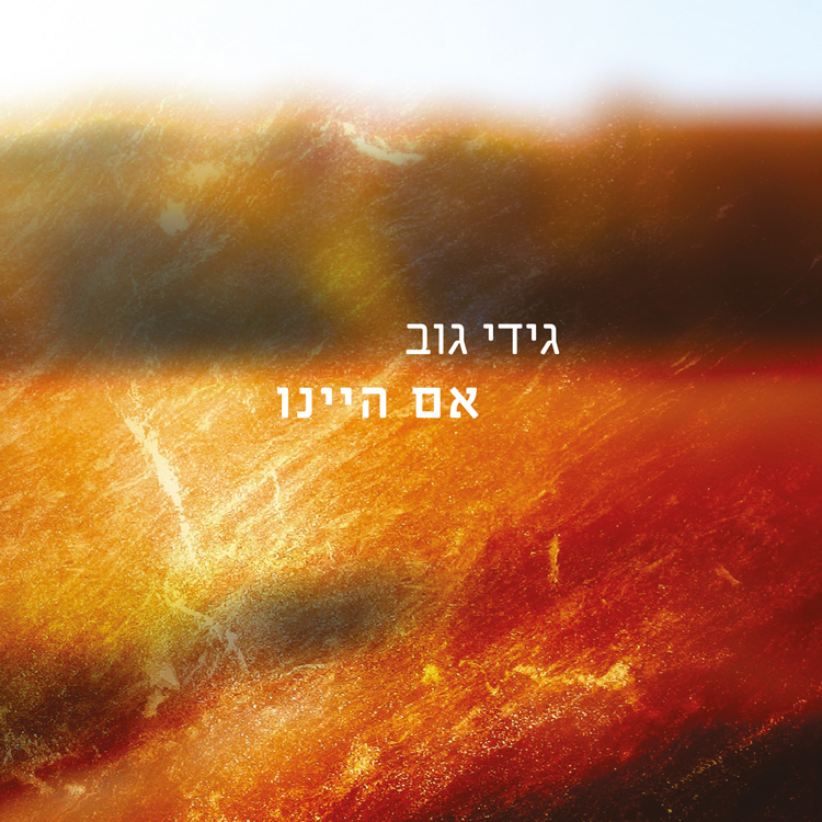 גידי גוב - אם היינו