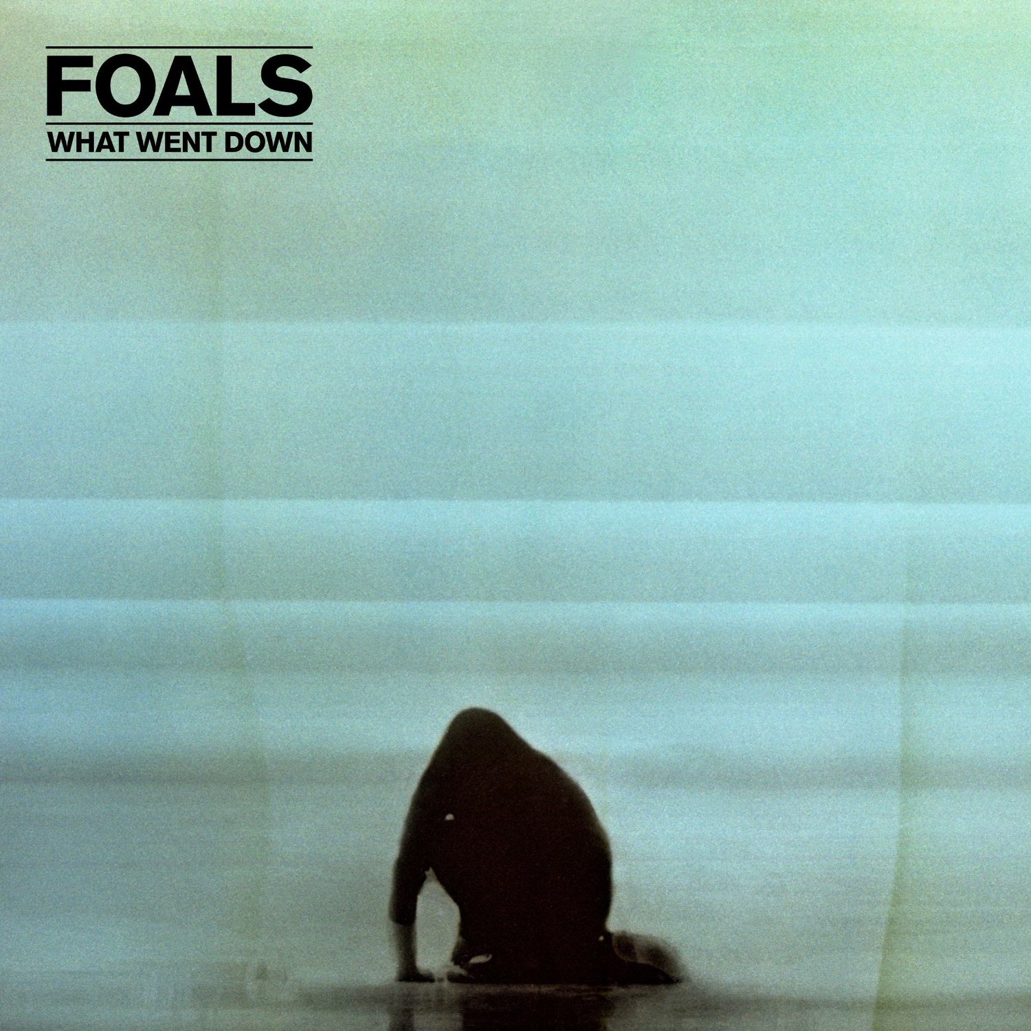 Foals What Went Down