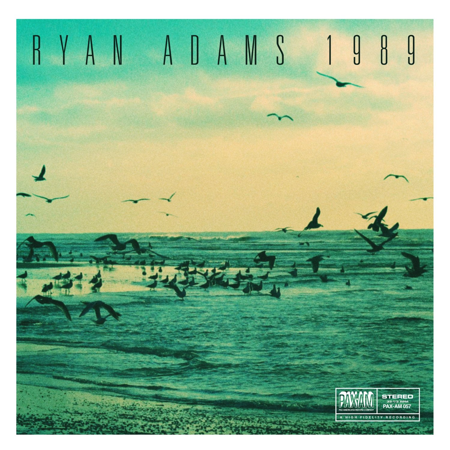 Ryan Adams 1989