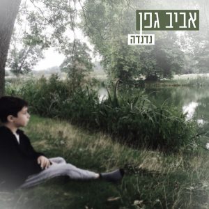 אביב גפן - נדנדה