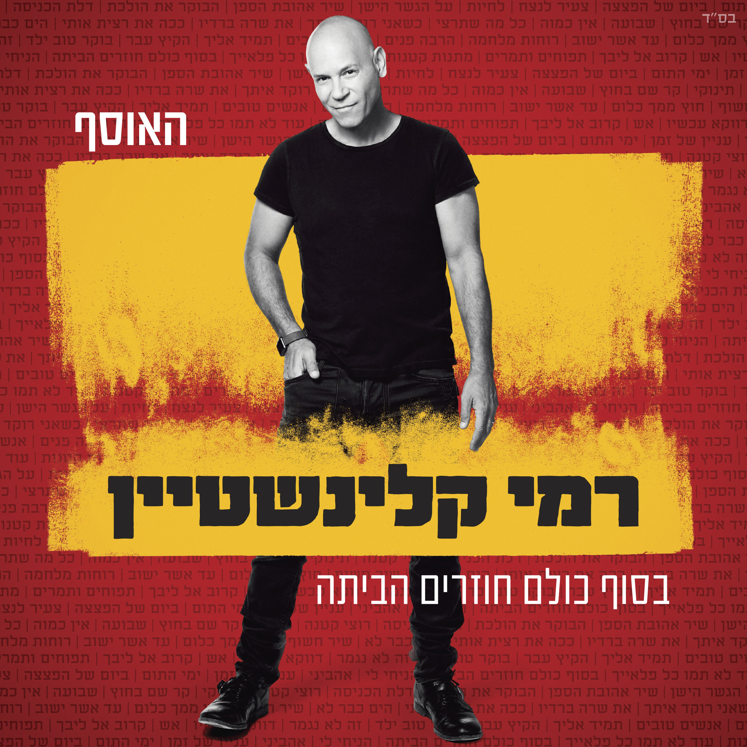 רמי קלינשטיין - האוסף