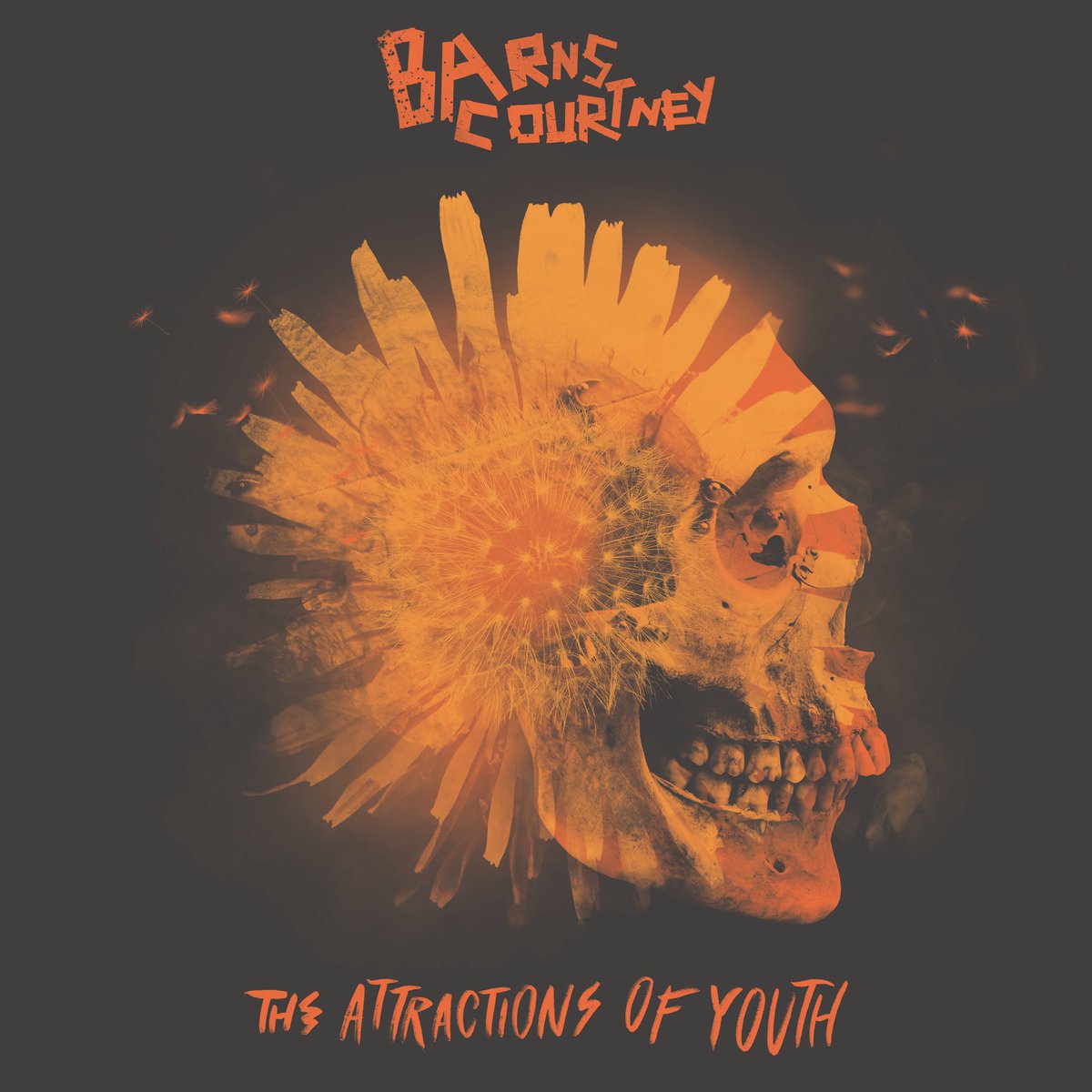 Attractions Of Youth Barns Courtney