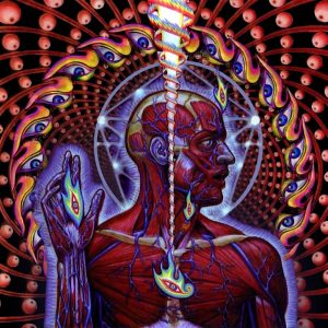 Lateralus (2001) - Tool