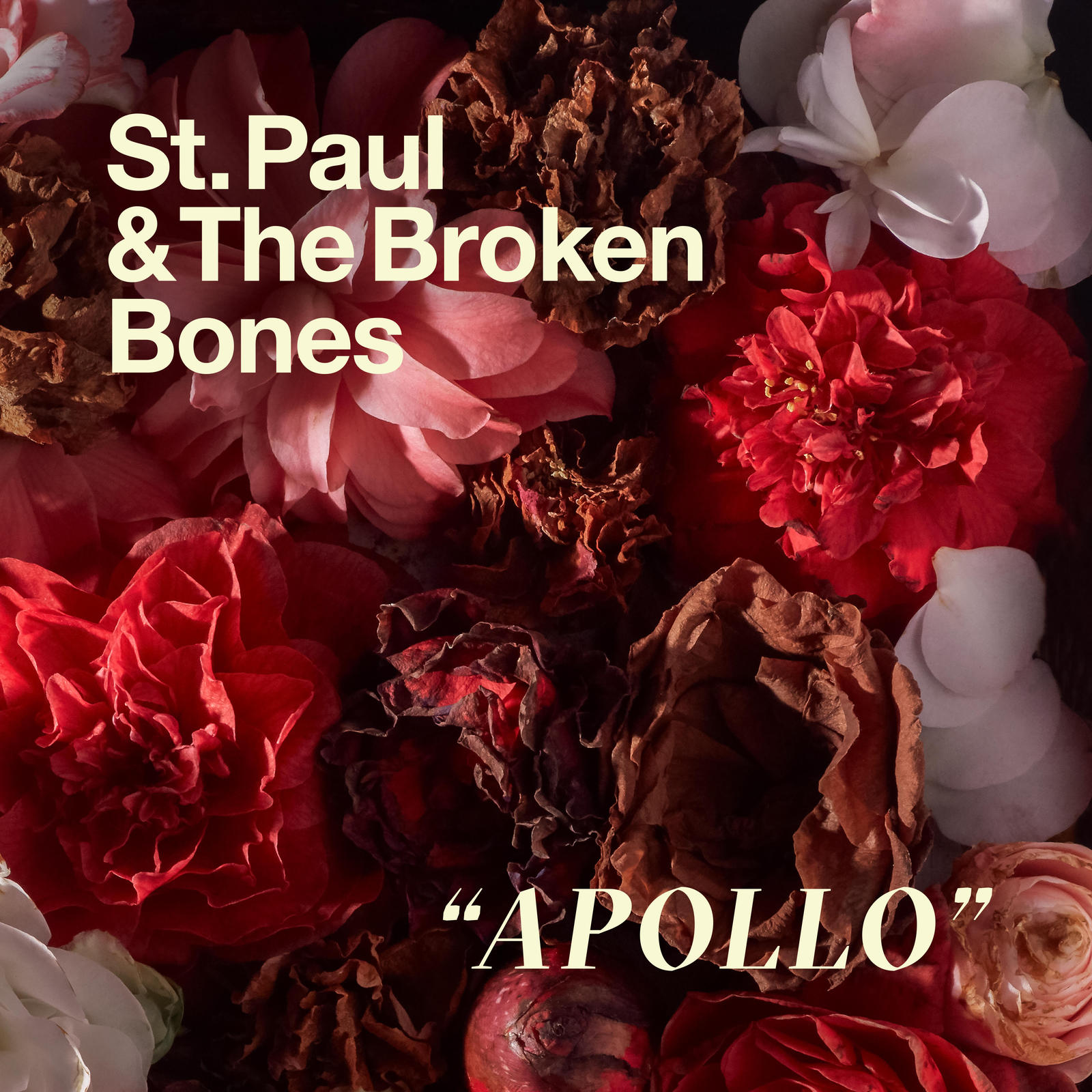 St Paul & The Broken Bones - Apollo