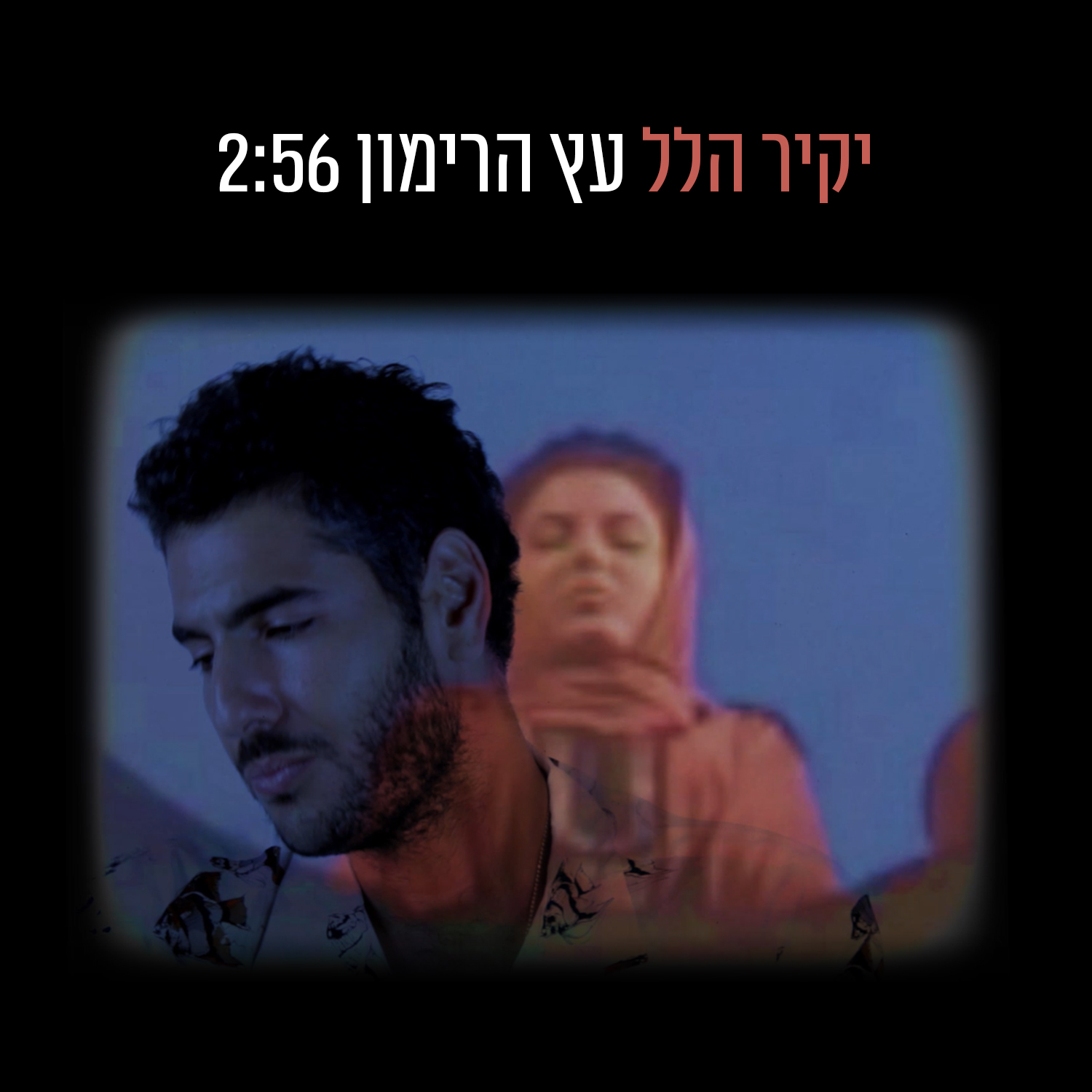 יקיר הלל - עץ הרימון