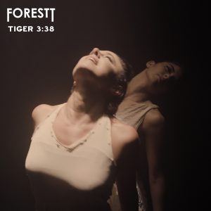 Forestt - Tiger