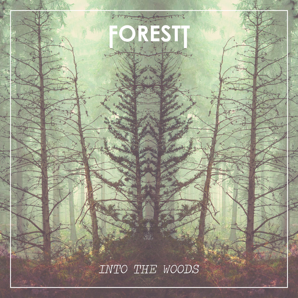 Forestt - In The Woods