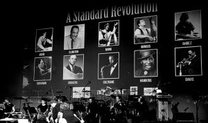 המהפכה Standard Revolution צילום מרגלית חרסונסקי