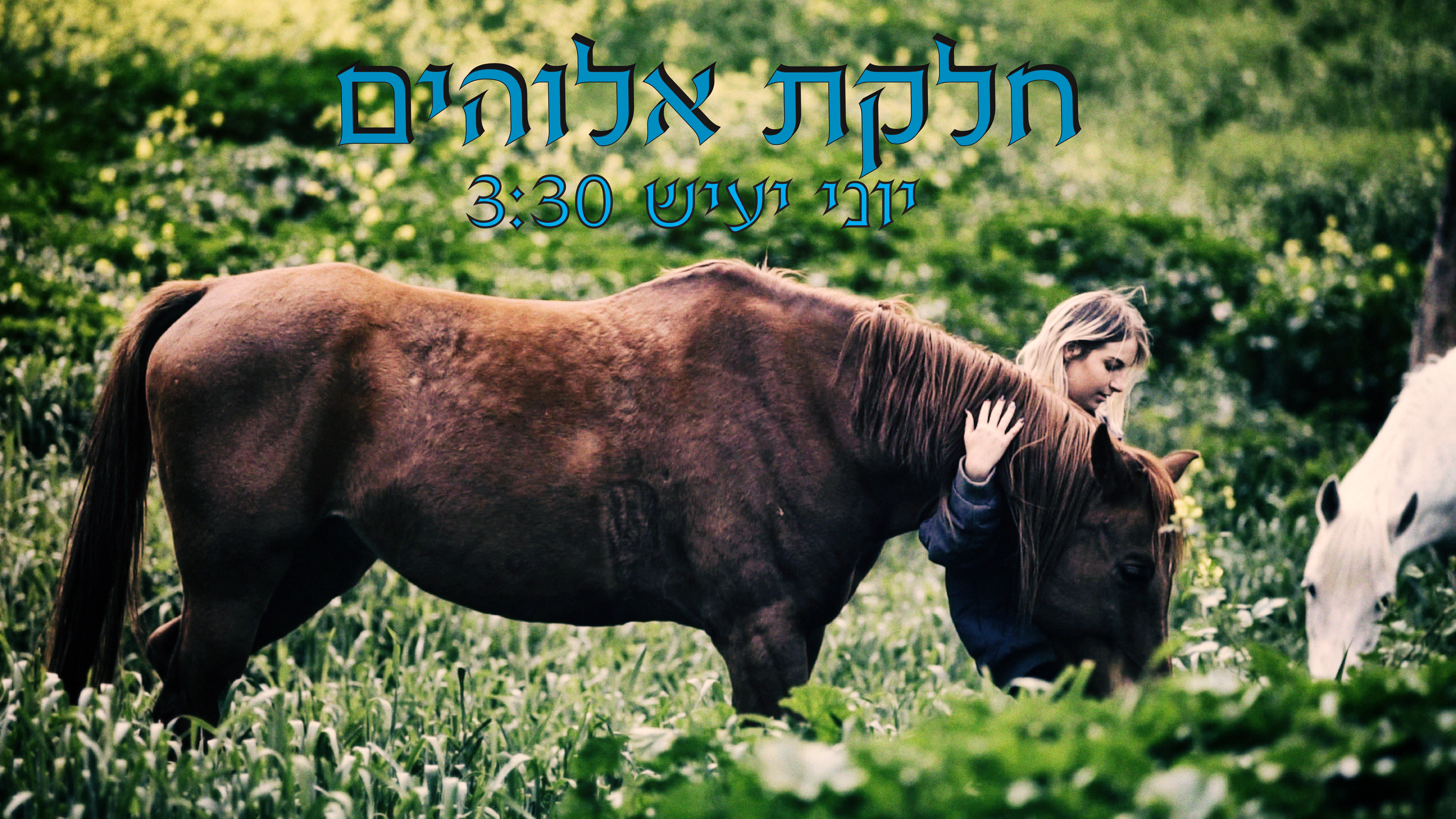 יוני יעיש - חלקת אלוהים