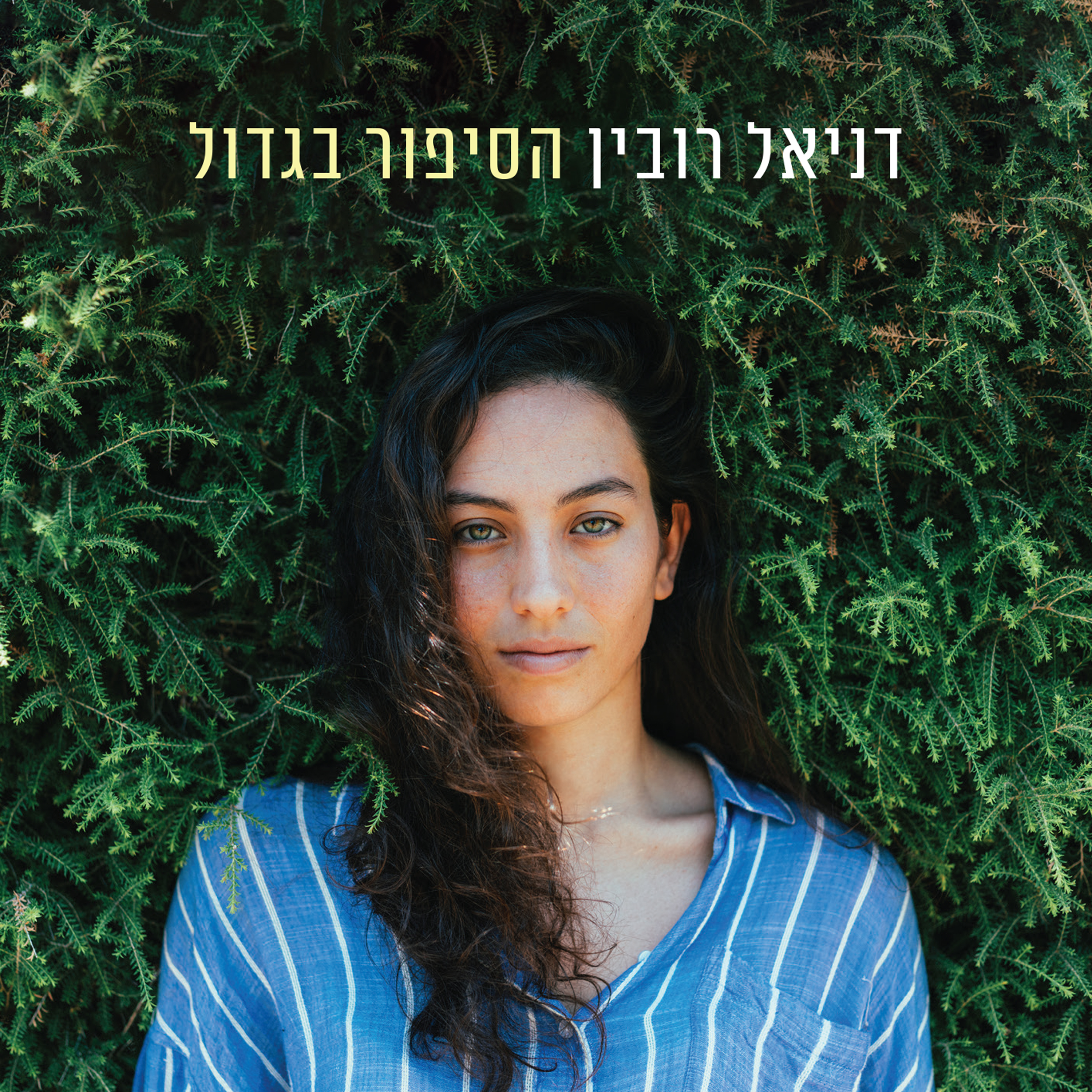 דניאל רובין - הסיפור בגדול