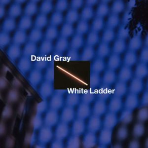 דיוויד גריי White Ladder