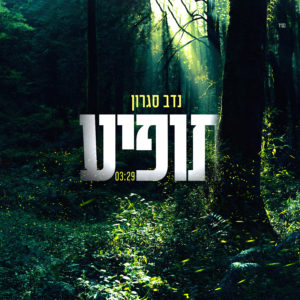 נדב סגרון - תופיע