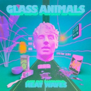 Heat Waves שירה של הלהקה האנגלית Glass Animals עושה גלי ענק בעולם