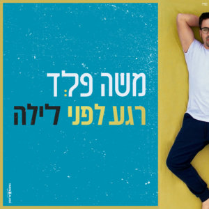 משה פלד רגע לפני לילה