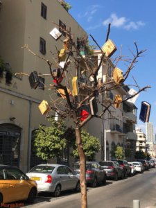 צילום: מרגלית חרסונסקי