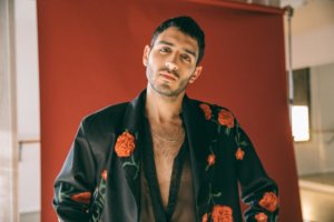 תמיר גרינברג Roses