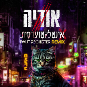 אודיה אינטלקטוערסית Dalit Rechester Remix