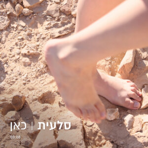 סלעית פרידמן כאן