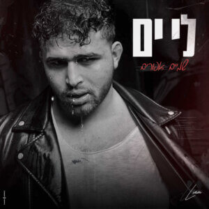 לי ים שמיים אפורים