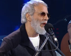 יוסוף קט סטיבנס Viña Del Mar Festival, Chile 2015