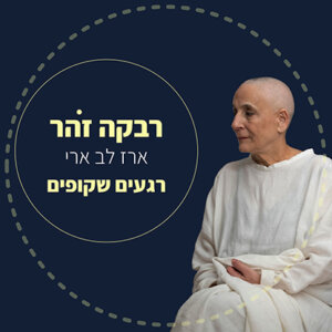 רבקה זהר וארז לב ארי רגעים שקופים