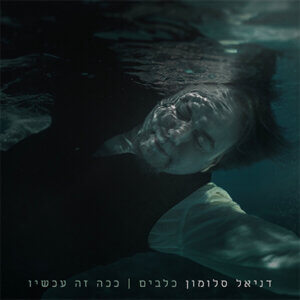 דניאל סלומון כלבים