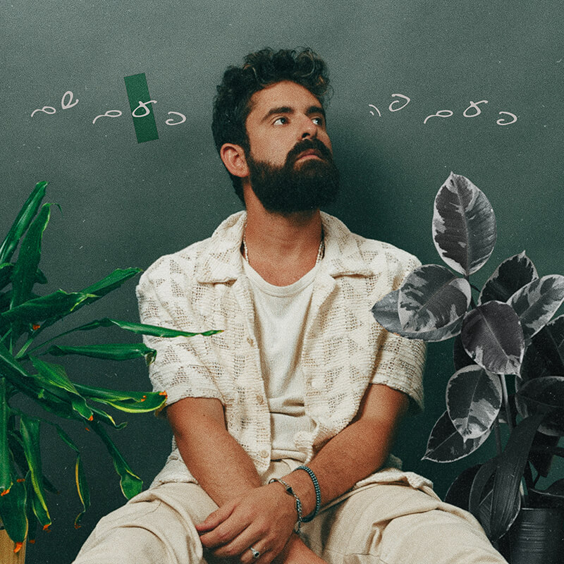 סהר טויטו פעם פה פעם שם