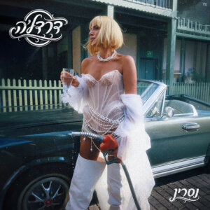 נסרין קדרי דרדלה