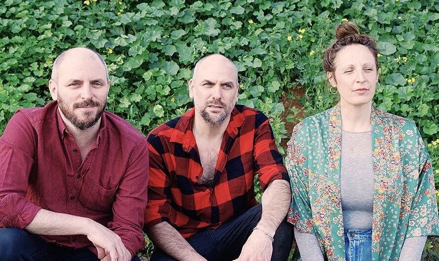 יסטר הבי ומיס לואו Not everything you wanted