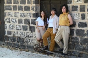 שלוש ציפורים דמיון חופשי