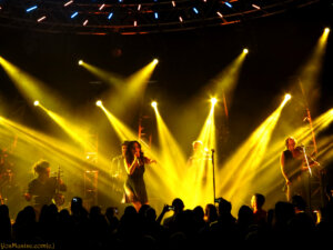 ריטה. צילום: מרגלית חרסונסקי