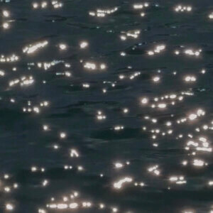 לורן נוימן בעולם הבא