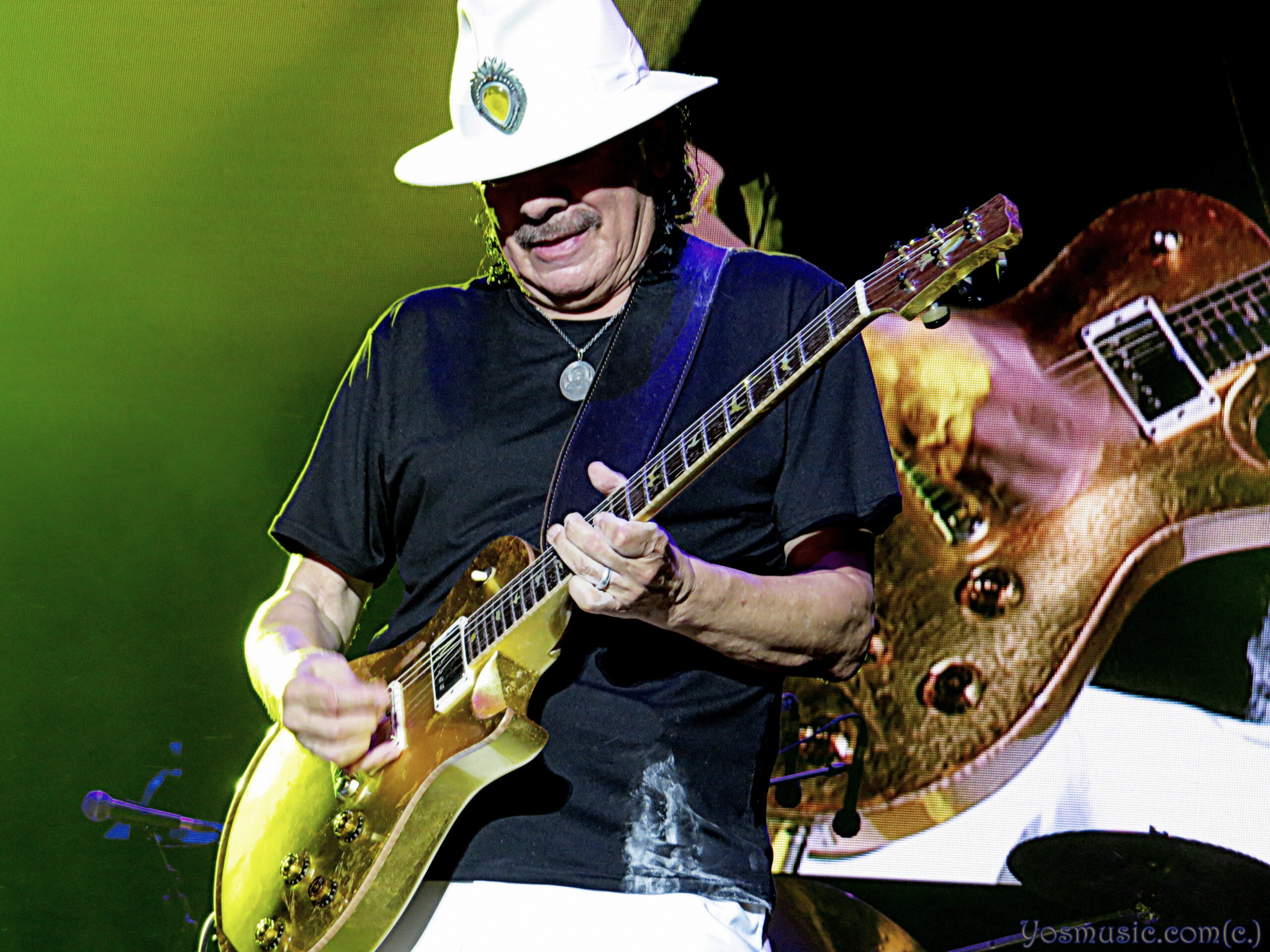 סנטנה--צילום-מרגלית-חרסונסקי